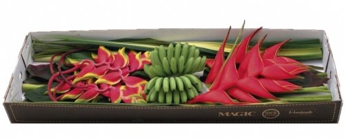 CAPRICHO TROPICAL FLOWERS & FOLIAGES  COMBO BOX